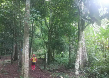 东南亚老挝南塔普卡溶洞设计ສຳຫລວດຖຳ້ເກົາເລົາຢູ່ເມື່ອງພູຄາ ແຂວງຫລວງນຳ້ທາ