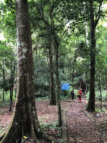 东南亚老挝南塔普卡溶洞设计ສຳຫລວດຖຳ້ເກົາເລົາຢູ່ເມື່ອງພູຄາ ແຂວງຫລວງນຳ້ທາ(图8)