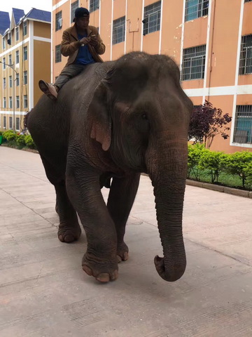 东南亚老挝南塔普卡溶洞设计ສຳຫລວດຖຳ້ເກົາເລົາຢູ່ເມື່ອງພູຄາ ແຂວງຫລວງນຳ້ທາ(图19)