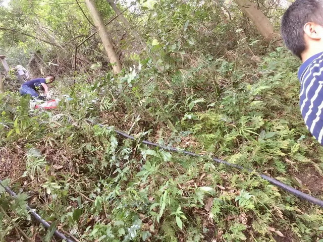 贵州省独山县天洞溶洞灯光开发设计施工(图65)