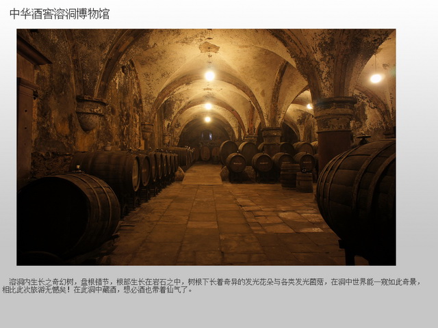 贵州茅台中华酒窖溶洞博物馆方案设计(图5)