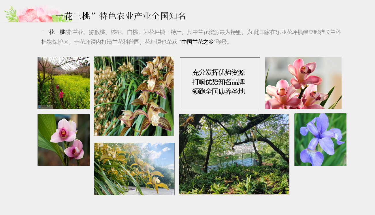 广西乐业兰花康养度假小镇规划设计(图4)