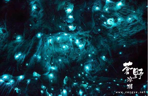 中景互维与新西兰专家共同研发国内唯一溶洞萤火虫效果灯具(图1)