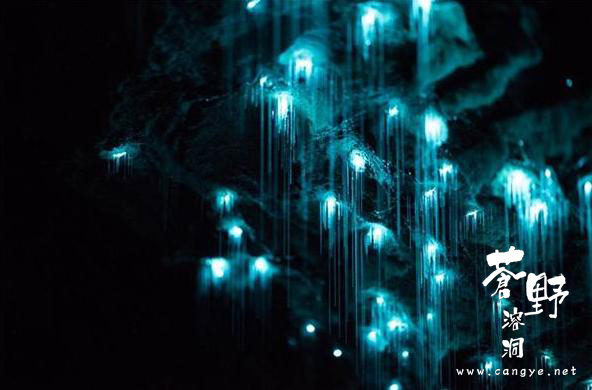 中景互维与新西兰专家共同研发国内唯一溶洞萤火虫效果灯具(图2)