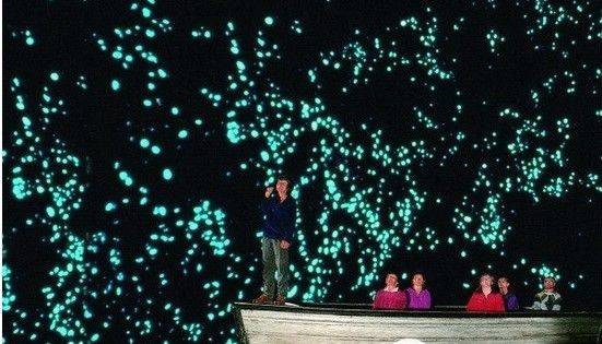 中景互维应邀前往New Zealand Waitomo Cave新西兰怀托摩萤火虫洞交流学习(图1)