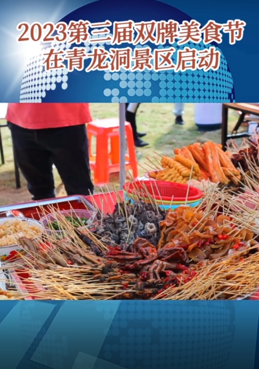 文旅融合发展，赋能乡村振兴(图13)